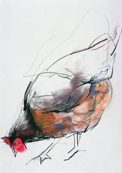 Gallina che mangia, Trasierra, 1998