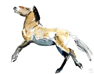 Libero (Przewalski)