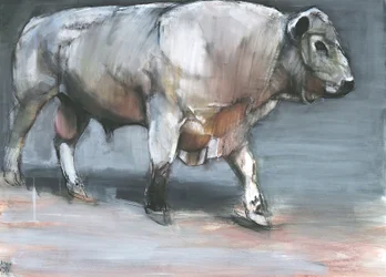 Fresno, toro Galloway