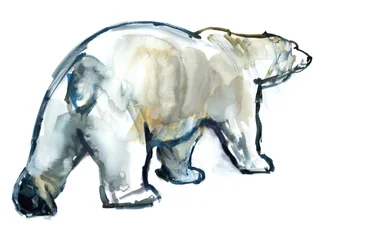 Glacier Mint (Orso polare), 2013