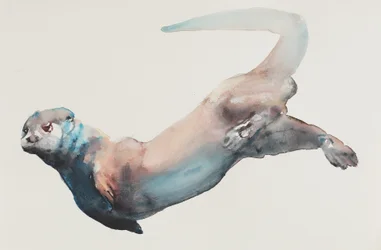 Caccia in profondità