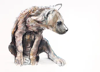 Cucciolo di iena (profilo)