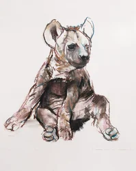 Cucciolo di iena (seduto)