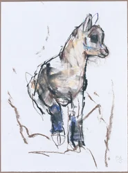 Capretto di stambecco
