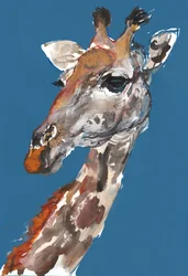 Signora Giraffa