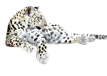 Long (Leopardo Arabo), 2015