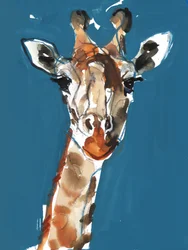 Giraffa Masai