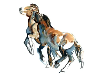 Morso al collo, 2013
