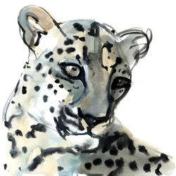 Persiano, 2015