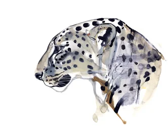 Profilo (Leopardo arabo), 2008