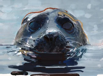 Alghe rosse, alghe gialle, 2023