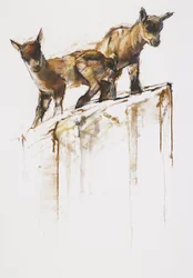 Gioco di rocce, 2005
