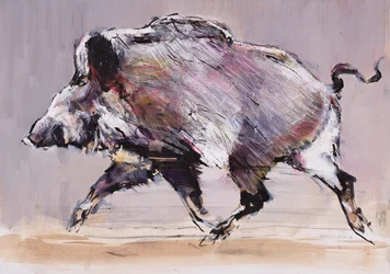 Cinghiale in corsa, 1999
