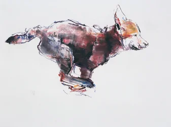 Cucciolo di lupo in corsa