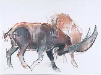 Scimitarra, 2006
