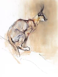 Caracal seduto, 2009