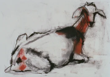 Capra seduta, 1998