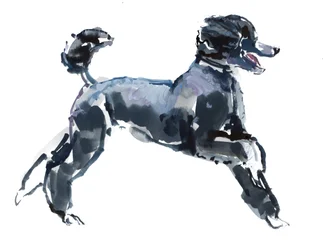 Classe pura, 2013, (acquerello e gouache su carta)