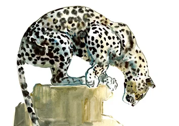 Spine (Leopardo Arabo), 2015