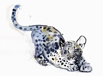 Cucciolo che si allunga (Leopardo arabo), 2008