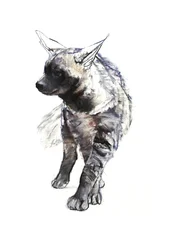 Cucciolo di iena striata, 2010