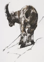 Sole, Crocheneville, 2005