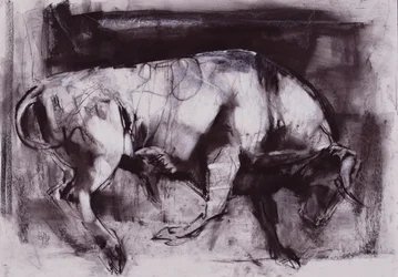 Il Toro Bianco (studio), 1998