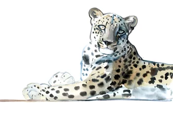Tilt (Leopardo Arabo), 2015