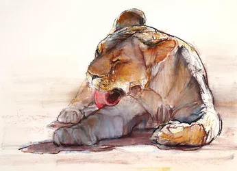 Bagno di Lingua, 2019