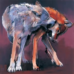 Due lupi, 2001