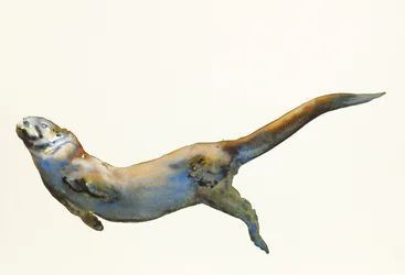 Velluto