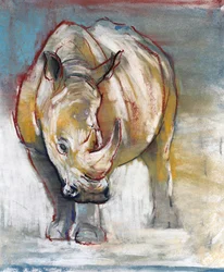 Rinoceronte bianco, Ol Pejeta, 2018