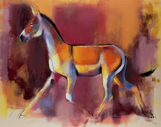 Asino selvatico, Rann di Kutch, 1996