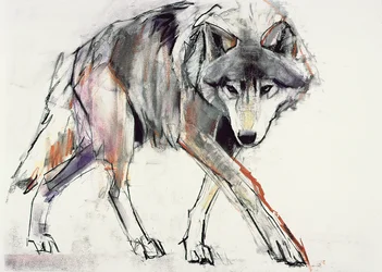 Lupo