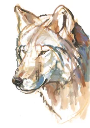 Lupo