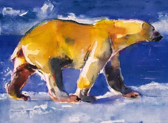 Orso Giallo, 1999
