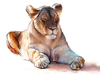 Leonessa yogi, 2019