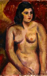 Studio di un nudo femminile