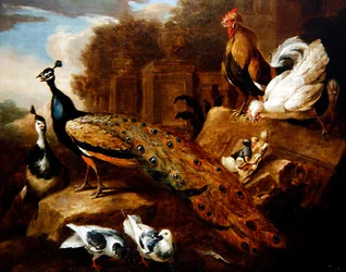 Pavoni, Colombe e Altri Uccelli e un Edificio Classico