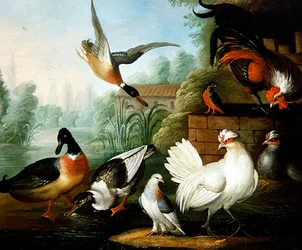 Paesaggio con galline, anatre e un martin pescatore