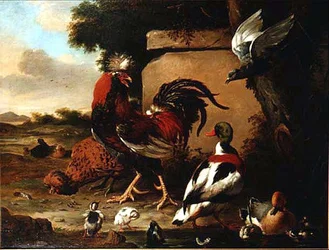 Gallo con anatre, anatroccoli e piccione