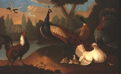 Paesaggio con vari uccelli