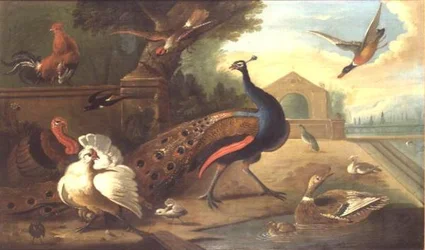 Immagine sconosciuta