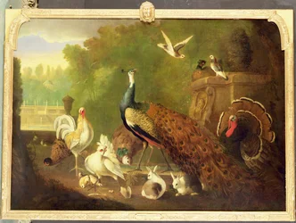 Immagine sconosciuta