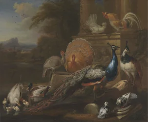 Pavoni, colombe, tacchini, galline e anatre presso una rovina classica
