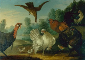 Pollame in un paesaggio