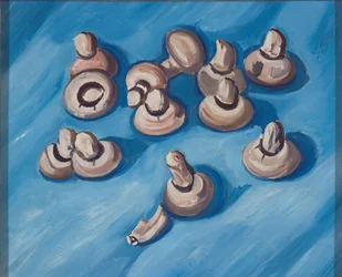 Funghi su sfondo blu