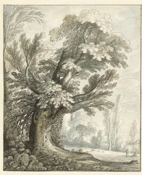 Paesaggio con un albero alto