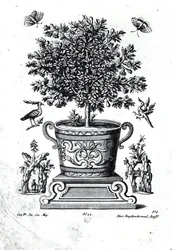 Albero ornamentale in un