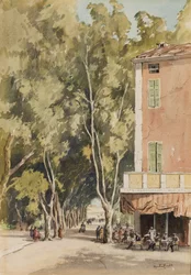 Un viale di platani, Vaison, Vaucluse, ottobre 1933